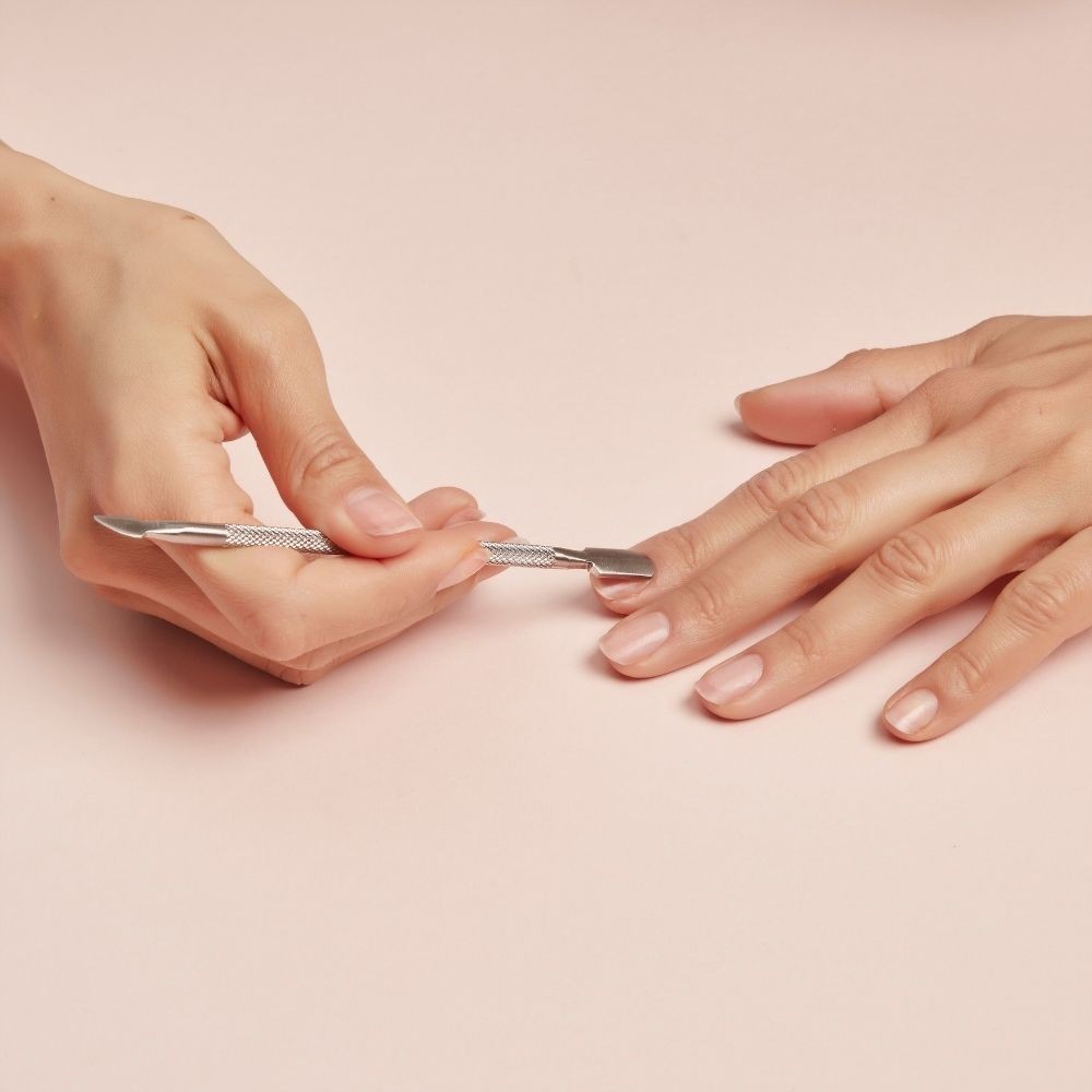 Spingicuticole — immagine 1